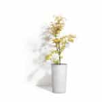 Ecopot - Amsterdam (Mid High) - Image 6