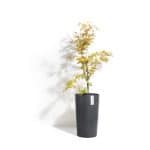 Ecopot - Amsterdam (Mid High) - Image 7
