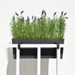 EcoPots – Hanging Bruges 55*21cm - Image 6