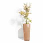 Ecopot - Amsterdam (High) - Image 5