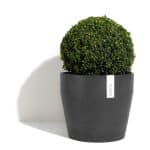 Ecopot – Sankara - Image 5