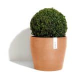 Ecopot – Sankara - Image 4