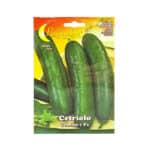 Cucumber Seeds - Cetriolo Gemini 7 F1