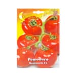 Tomato Seeds - Pomodoro Montecarlo F1