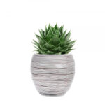 Capi Nature Vase "Elegant " - Loop Collection