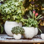 Capi Nature - Vase "Ball "- Rib Collection - Image 9