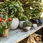 Capi Nature - Vase "Ball "- Rib Collection - Image 10